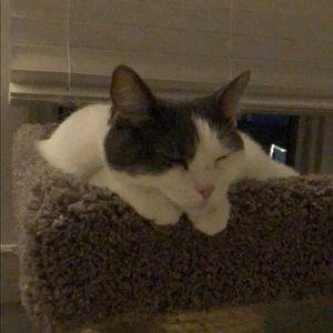 Meet your Posher, Rip